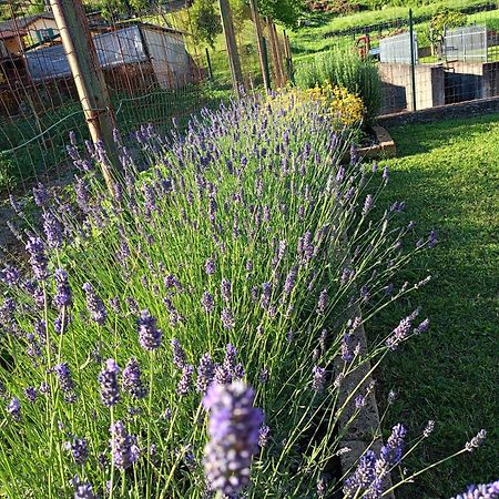 Casa Vacanze La Cicala Pontremoli Ngoại thất bức ảnh